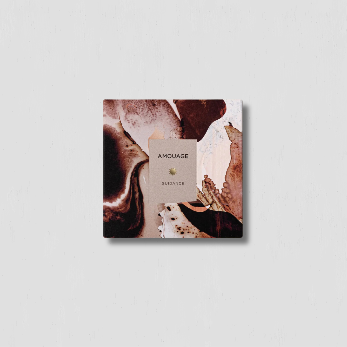 Guidance - alternate view
